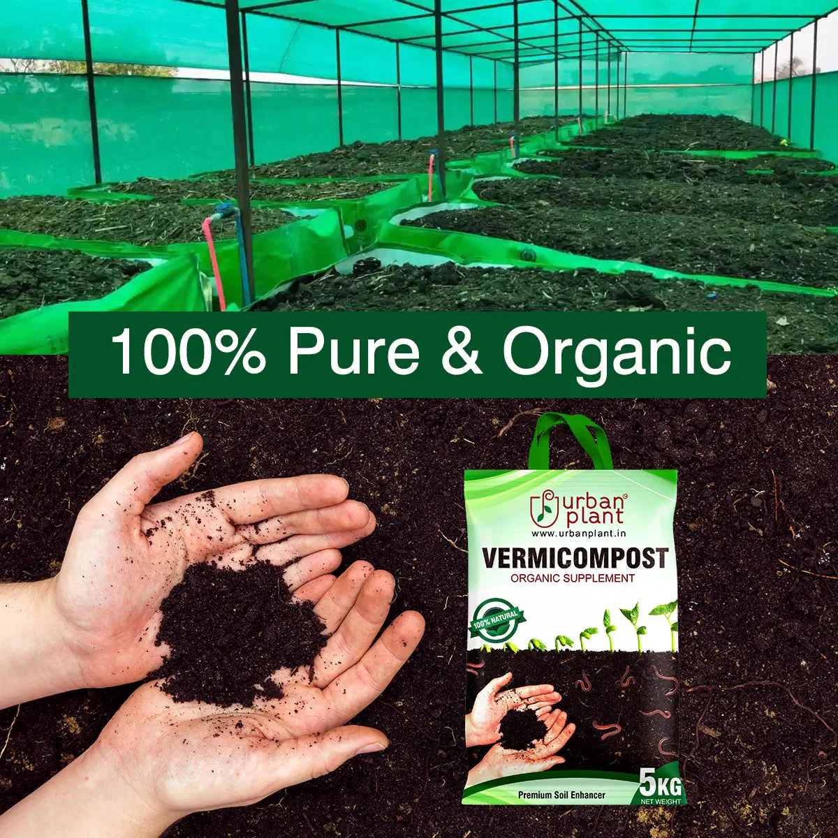 Vermicompost